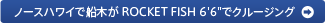 �m�[�X�n���C�őD�؂� ROCKET FISH 6'6�h�ŃN���[�W���O