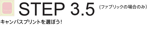 STEP4.5�@�L�����o�X�v�����g��I�ڂ�