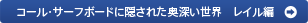 �R�[���E�T�[�t�{�[�h�ɉB���ꂽ���[�����E�@���C����