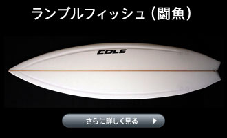 COLE(�R�[���jSKELETON FISH