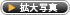 拡大写真