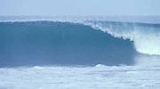 �g