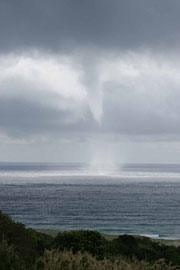 Tornado
