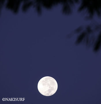 naki photo