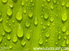 �ǎ����_�E�����[�h����