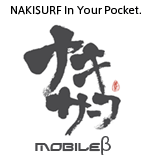 いつでもどこからでもNAKISURF