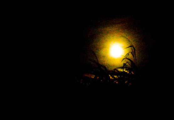 20091101_Moon_V0403