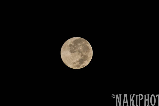 20091102_Moon_T0737