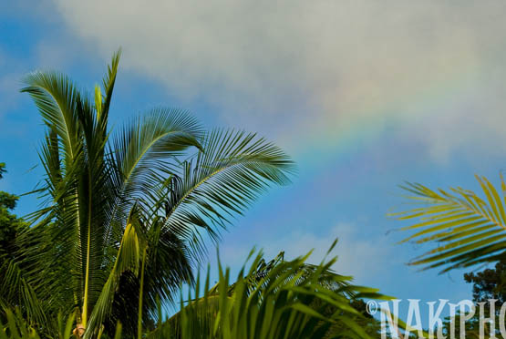 20091104_Kauai_V0512