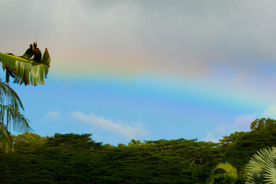 20091110_V0623