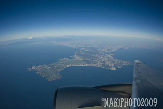 20091120_Yakushima_V1021