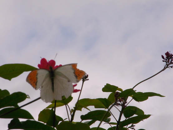 R0014122