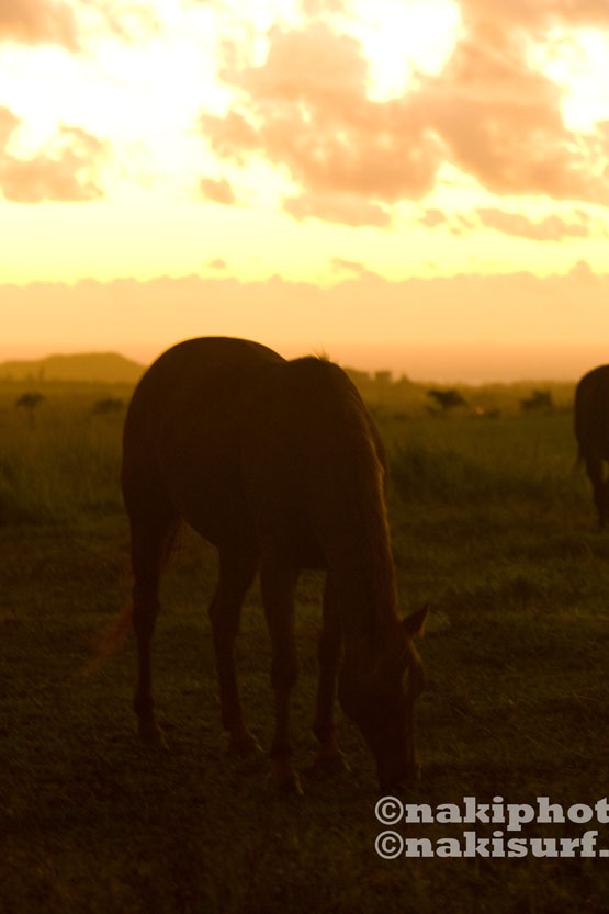 20100101_Kauai_V5475