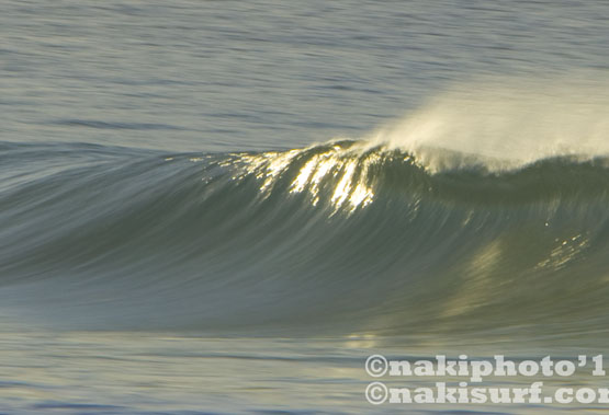 20100115_inaris_T6187
