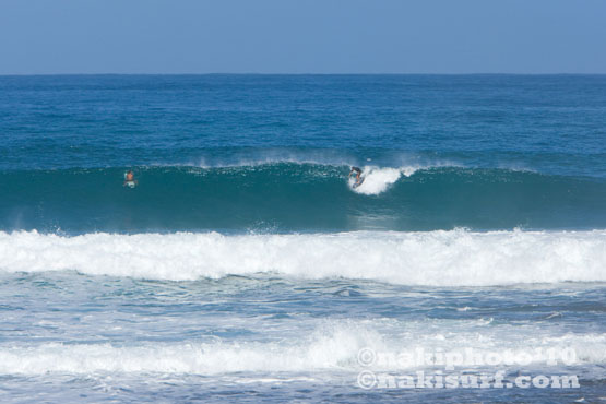 20100121_softsand reef_naki_.7022