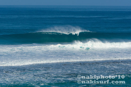 20100125_softsand reef_naki_V6765