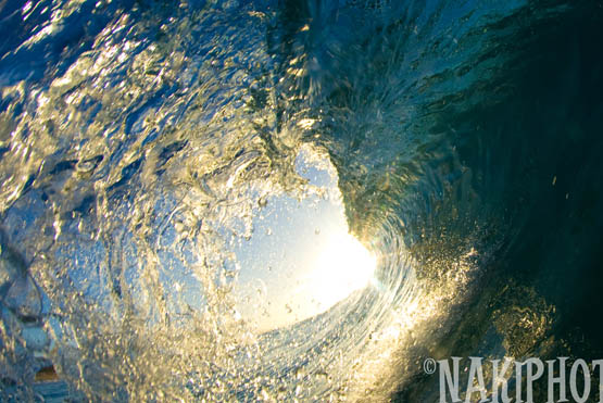 2010_Inaris_naki_V5403