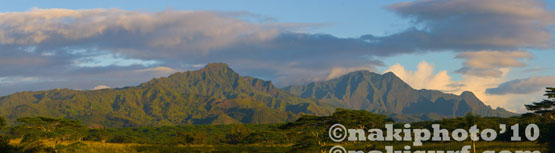 2010_Kauai_Kahili_V5466