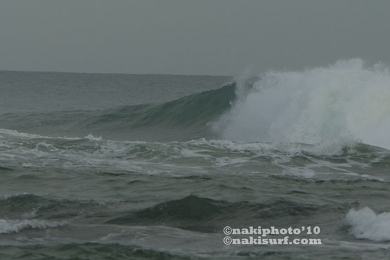 2010_Costa_V9782