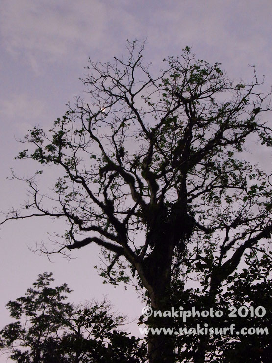 R0017639