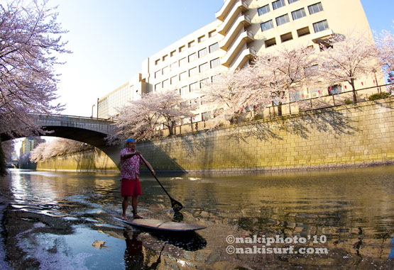 20100408_Sakura_SUP_V1428