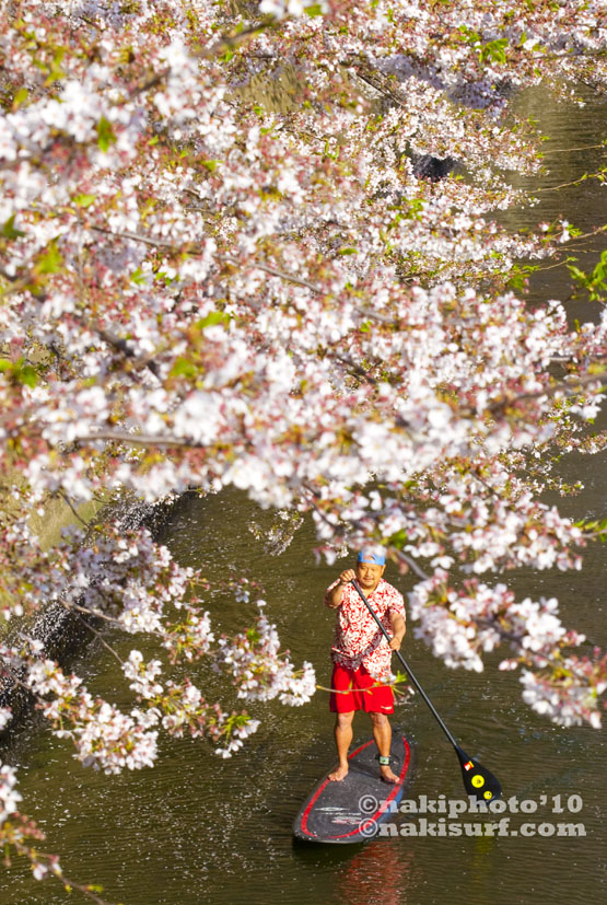 20100408_Sakura_SUP_V1451