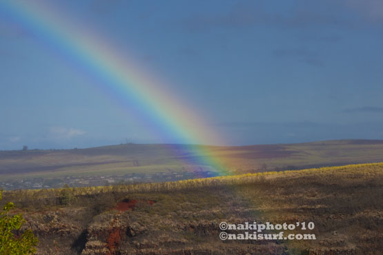 幻のブイ計測値＿サクラとパンダ＿計２１０００字の原稿＿『NAKIPHOTO NORTHHAWAII展』＿（１９８５文字）