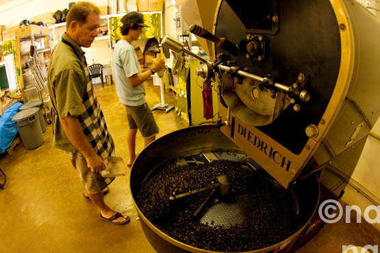 2010_Kauai coffee_T7875