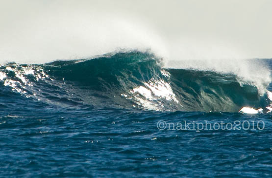 2010_NH_T3651
