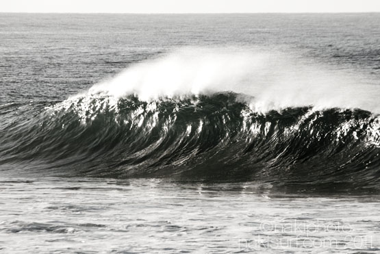 クジラとイナリーズ＿NAKISURF 立春カスタムオーダーキャンペーンがスタートしていました！＿千葉一宮の廃墟（倉庫兼オフィス兼スタジオ）日の思い出＿純城の大波用ショートボード＿（３２０１文字、写真多めの中編です）