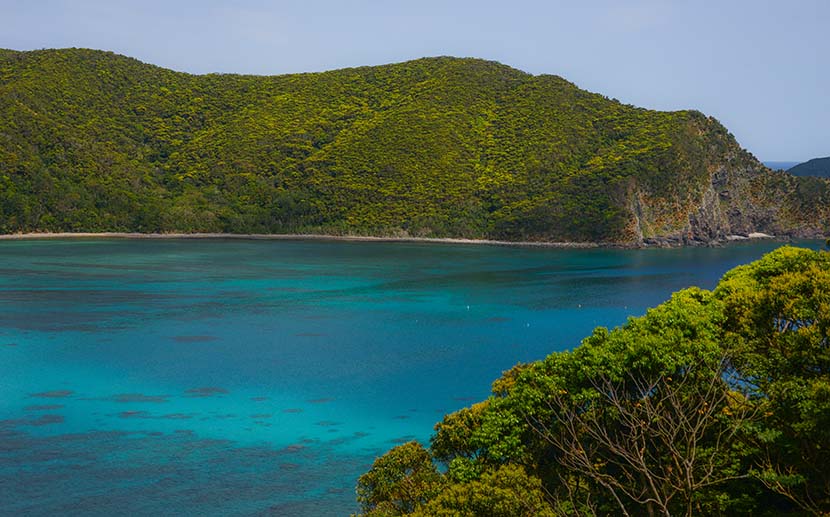 衣食住職海隣接のNAKISURF千葉です＿すっかり房総半島LOVE＿夏よ行かないで＿（８３８文字）