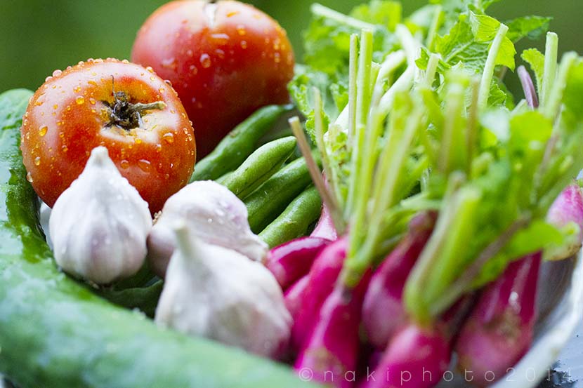 大雨島暮らし＿アオショウビンのえいじさん＿日本で一番おいしい、おかあさんの野菜と海食事＿マックスとハブ酒＿島暮らし＿（１４７８文字）