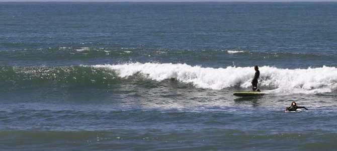 南カリフォルニアの現在気温_タイラー・ウォーレンの丸いトラッカーFor Sale_(1133文字) 南カリフォルニアの現在気温_タイラー・ウォーレンの丸いトラッカーFor Sale_(1133文字)
