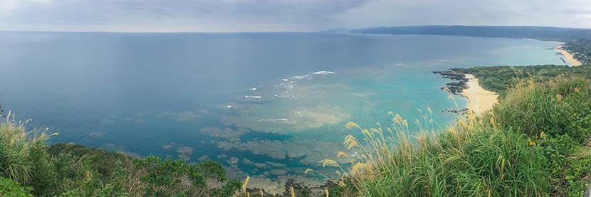 美しい奄美大島＿３Ｄウエッジの波質とすばらしいローカリズム＿（１４３０文字）