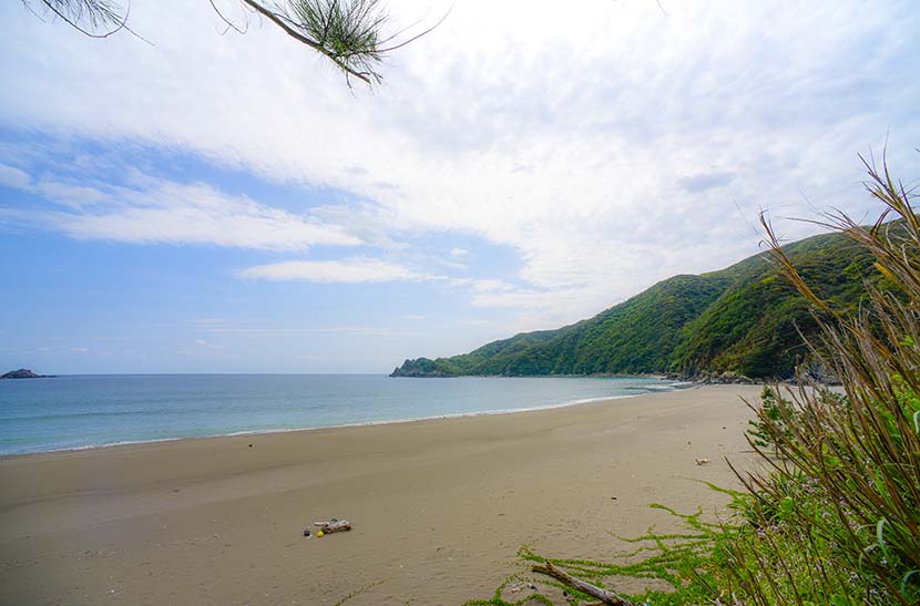 【特大号】奄美大島発＿自然の危機を救おう＿嘉徳海岸の巨大堤防建設について＿（３８９８文字）