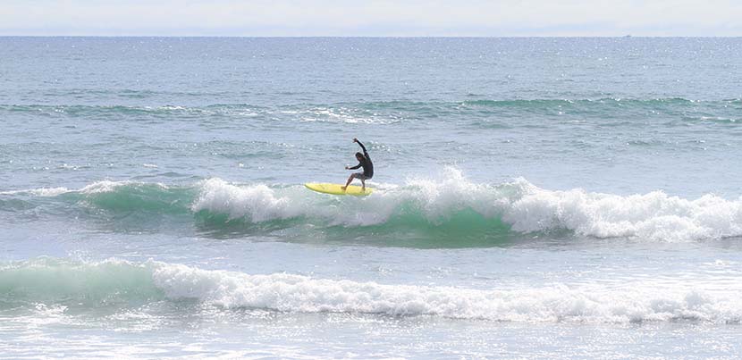 【サーフィン研究所】健康志向＿ＭＬＢ＿メガクアッド・テスト中です＿SURF＆SURF Tのプロセス＿（１５０２文字）
