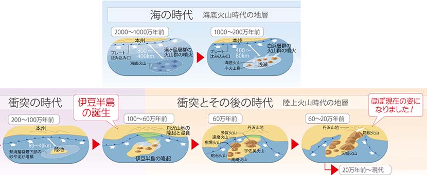 【サーフィン研究所】伊豆の歴史＿アポテオーシス・アンディ＿（８８８文字）