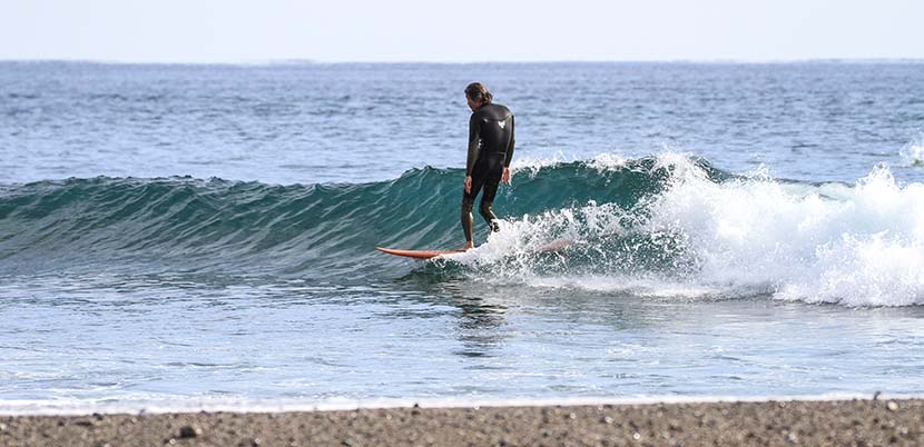 サーフィン研究所 タキローの待ち受け画面 高知新聞 Nakisurf タヌくんが飛行機に グリーン ルーム フェスティバルのアンディ ニエブレス １６４７文字 Naki S Blog Nakisurf Com ナキサーフボードカリフォルニア