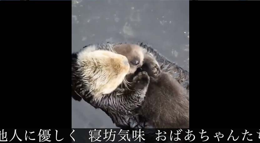 【サーフィン研究所】今日は動画ブログです