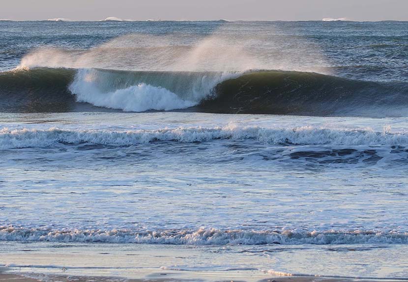 【サーフィン研究所】タキビ神の『海との調和感覚』＿マンダラ・コーヒー 『ピンク・ブルボン 』＿（１１８８文字）