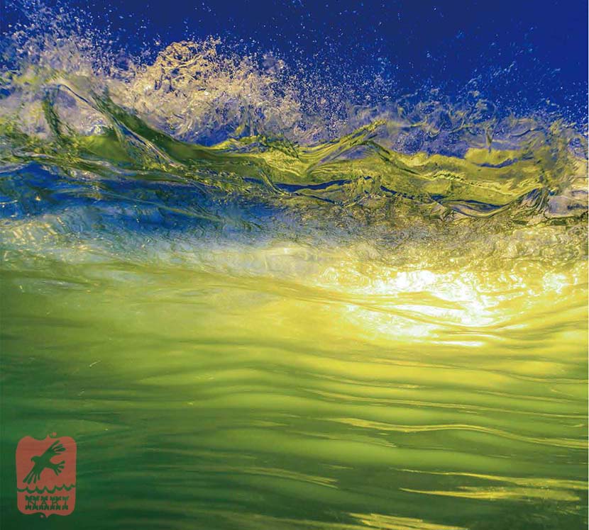 【サーフィン研究所GW直前特大号！】波の反復と限定性＿グルービー・フィン『ツインザー・タブ』＿オルタナ・サーフワックス試作到着＿ＧＷ３連続イベント＿（２６００文字）