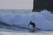 Ford Surfing