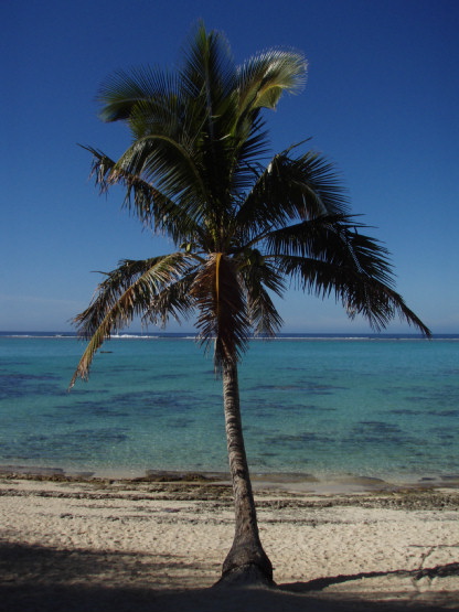 Cook Islands 051