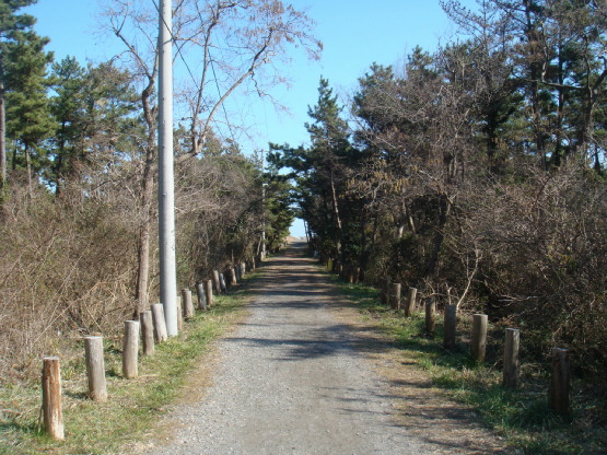 DSC03657