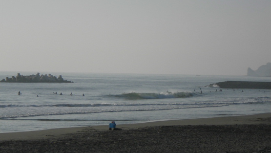 IMGP0137