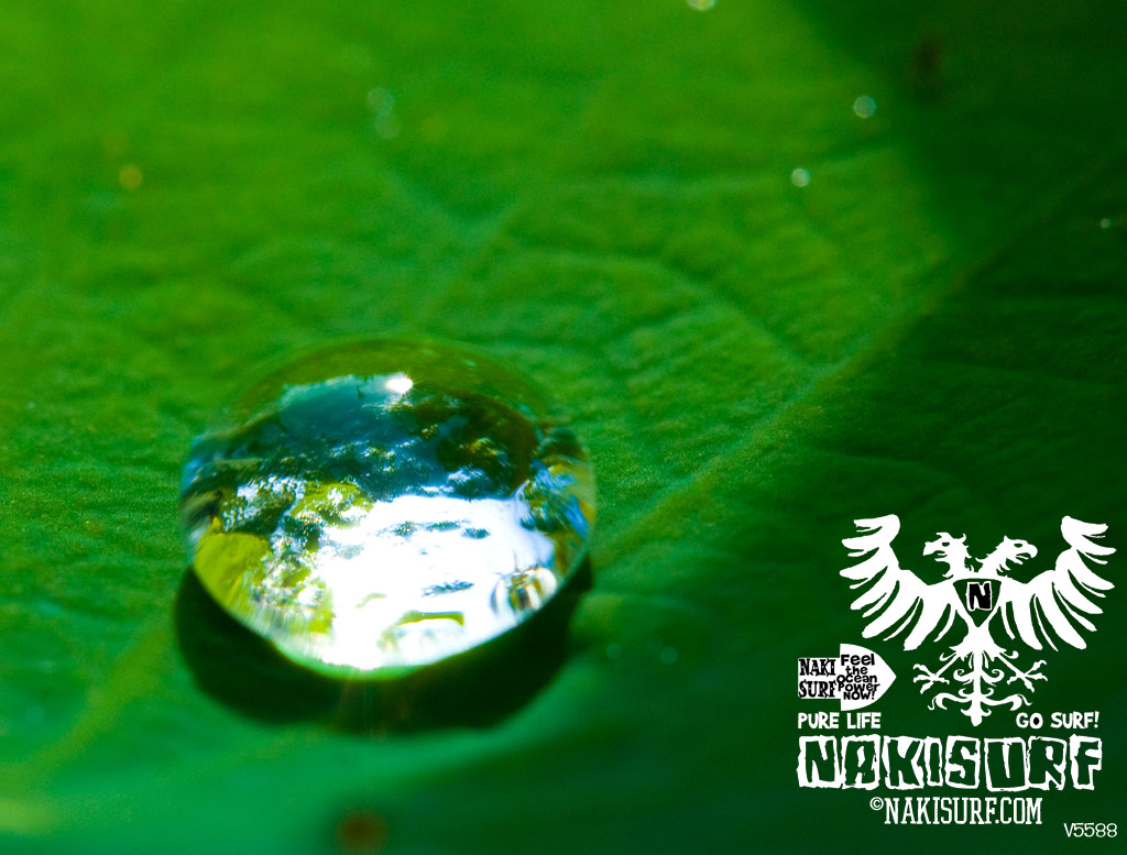 Nakisurf photography