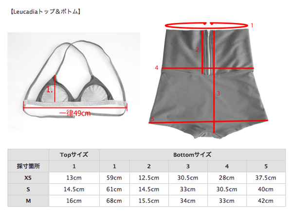 Leucadiaサイズ