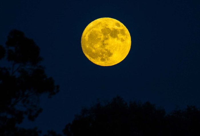 201611_super_moon_1565naki