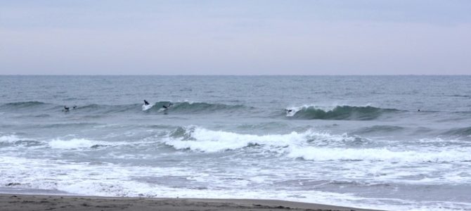 2019/1/12(土)波情報_コシ〜ハラ「2019NAKISURF新春初売開催中」「2019NAKIPHOTOカレンダー増刷分予約受付中」 2019/1/12(土)波情報_コシ〜ハラ「2019NAKISURF新春初売開催中」「2019NAKIPHOTOカレンダー増刷分予約受付中」