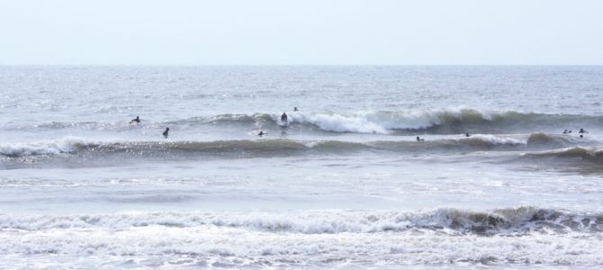 2019/7/11(水)波情報_コシ〜ハラsetムネ【2019夏のウエットスーツオーダーフェア開催中】【CATCH SURF先行予約スタート】【BIRDWELL(バードウェル)2019発売中】 2019/7/11(水)波情報_コシ〜ハラsetムネ【2019夏のウエットスーツオーダーフェア開催中】【CATCH SURF先行予約スタート】【BIRDWELL(バードウェル)2019発売中】